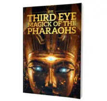 LungExpand Pro-Bonus-2-The Heart Health Blueprint